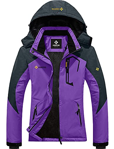 GEMYSE Women’s Mountain Waterproof Ski Jacket Windproof Snow Coat With Hood (Purple Grey 01-J,Large)
