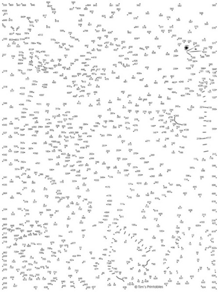 Ostrich Dot-to-Dot / Connect the Dots PDF