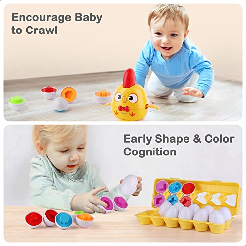 iPlay, iLearn Baby Musical Chicken W/ Matching Egg Toys, Boy Girl Educational Learning Color Shape Sorter Game Egg, Interactive Montesorri Birthday Gift for 12 18 Month 1 2 3 Year Old Toddlers Infant | The Storepaperoomates Retail Market - Fast Affordable Shopping