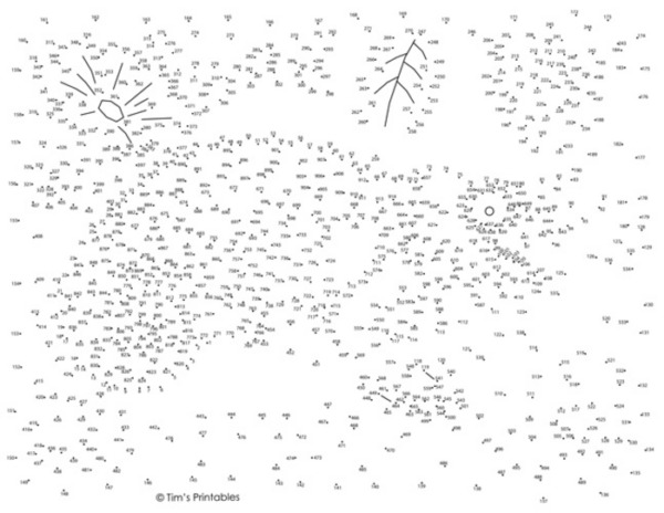 Chameleon Dot-to-Dot / Connect the Dots PDF