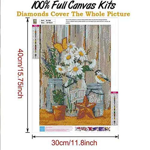 Diamond Painting,5d Diamond Painting Kits for Adults & Kids,DIY Diamond Painting Kits for Adults Home Wall Decoration (11.8×15.7inch) | The Storepaperoomates Retail Market - Fast Affordable Shopping