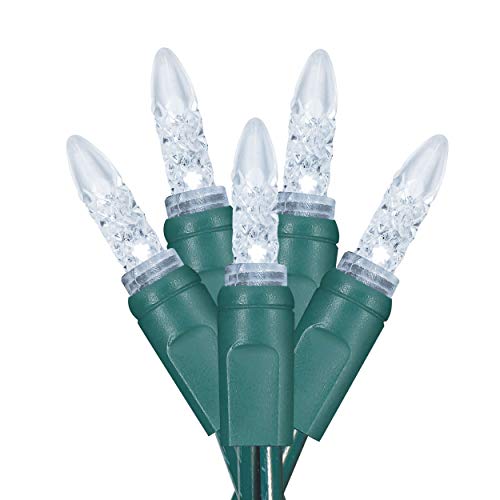 Dalla Costa 50 Count M5 Faceted Christmas Mini Light Set Indoor/Outdoor Use String Lights for Garden Christmas Tree Patio Lawn Party Home 120V UL Certified Green Wire 17 Feet (Cool White)