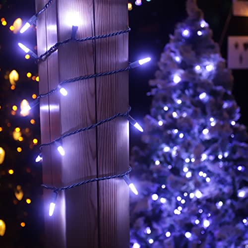 Dalla Costa 50 Count M5 Faceted Christmas Mini Light Set Indoor/Outdoor Use String Lights for Garden Christmas Tree Patio Lawn Party Home 120V UL Certified Green Wire 17 Feet (Cool White) | The Storepaperoomates Retail Market - Fast Affordable Shopping