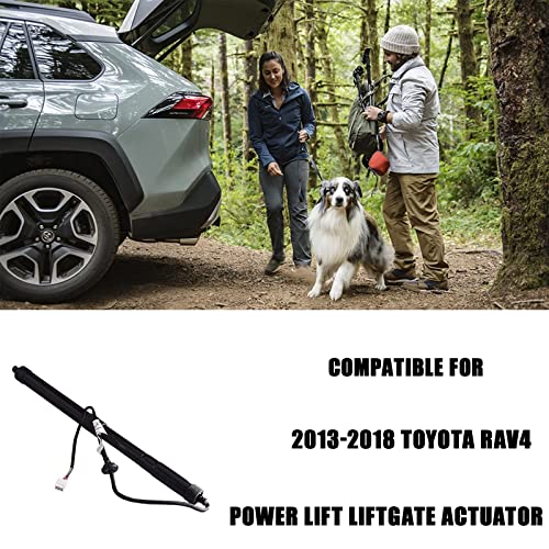 Unikpas Power Liftgate Support Rear Right Tailgate Strut Compatible for Toyota RAV4 2013-2018 Replace Tailgate Hatch Trunk-Lift Support Strut Shock 6891009010 | The Storepaperoomates Retail Market - Fast Affordable Shopping
