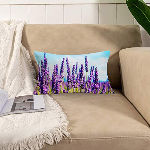 Smilyard Outdoor Lumbar Throw Pillow Cover 12×20 Inch Lavender Garden Patio Pillow Cases Purple Flowers Floral Pillows Cushion Cover Lavender Cotton Linen Decor Home Sofa Couch Bed Office(Lavender) | The Storepaperoomates Retail Market - Fast Affordable Shopping