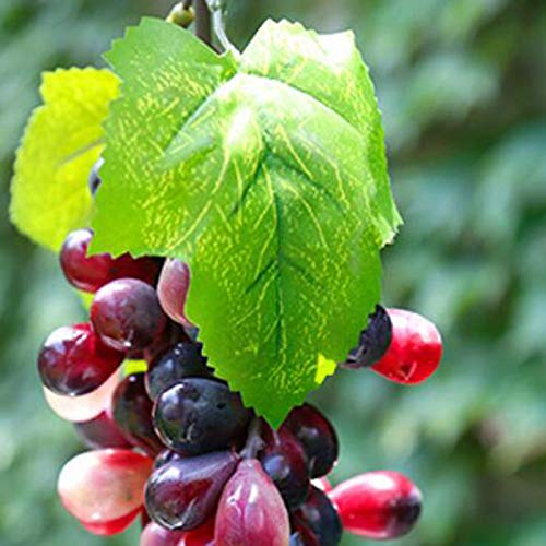 Artificial Grapes, 3 Bunches of Fake Decorative Grapes Simulation Fruit with Artificial Vines Lifelike Leaves Hanging Ornaments for Wedding Home Party Garden Wall Fruit Wine Decor | The Storepaperoomates Retail Market - Fast Affordable Shopping