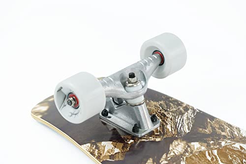 Volador 29inch Surf Skates Skateboard | Surf Training Board | Carve, Cruise, and Ride Like a Surfboard (Rocky) | The Storepaperoomates Retail Market - Fast Affordable Shopping