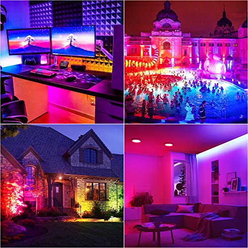 60W RGB LED Flood Lights,Color Changing Stage Landscape Floodlights,16 Million Colors Spotlight, IP65 Bluetooth Mesh,for Garden Party Wedding Christmas Wall Washer | The Storepaperoomates Retail Market - Fast Affordable Shopping
