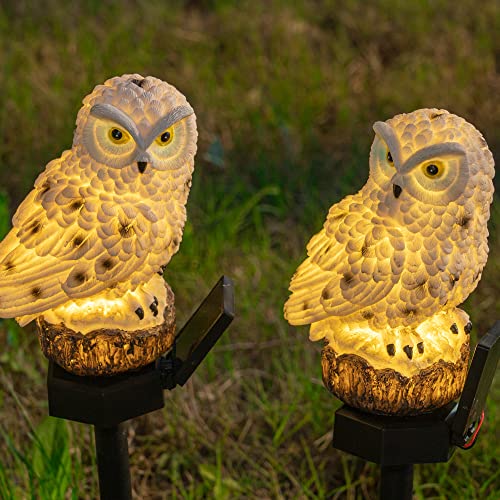 DAZZLE BRIGHT 2 Pack Owl Figure Solar LED Lights, Resin Garden Waterproof Decorations with Stake for Outdoor Yard Pathway Outside Patio Lawn Decor to Scare Birds Away | The Storepaperoomates Retail Market - Fast Affordable Shopping