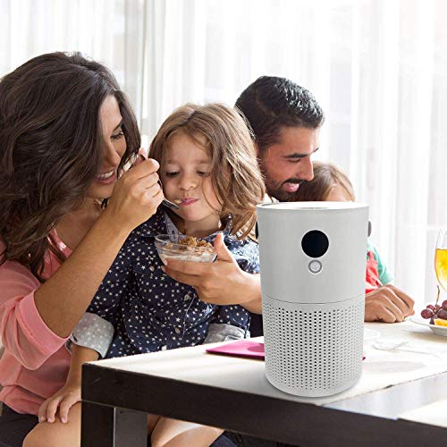 Air Pure Pro, Portable Proton Pure Air Purifier with True HEPA Air Filtration Technology and Carbon Filters for Standard-Sized Rooms (100-215 ft2) | The Storepaperoomates Retail Market - Fast Affordable Shopping
