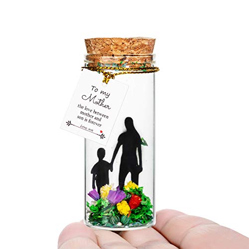 Unijew Gifts for Mom from Daughter or Son, Mothers Day Handmade Wishing Bottle Decorative, Rare Unique Gift, Indoor (Gifts for Mom/Bonus Mother Gifts/Christmas, Birthday Gifts for Mom) | The Storepaperoomates Retail Market - Fast Affordable Shopping