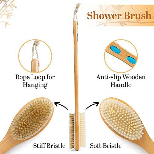 Hainstri Body Shower Brush & Bamboo Back Scratcher Set for Men, Women and Kids, Dual-Sided Brush Head for Wet or Dry Brushing, Anti-Slip Handle, Cardboard Gift Wrapped | The Storepaperoomates Retail Market - Fast Affordable Shopping