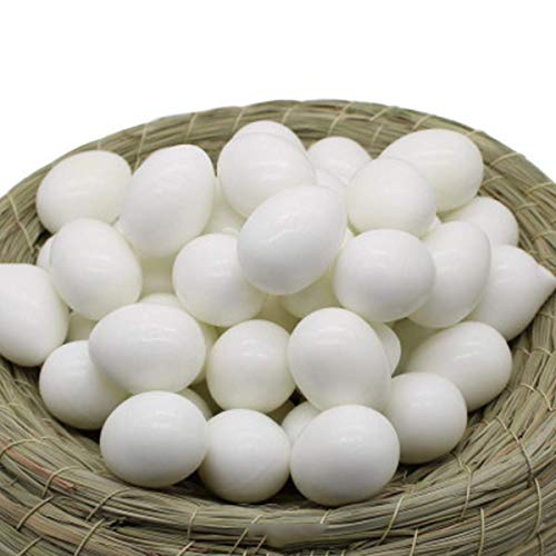 vctas Plastic Pigeon Eggs (Pack of 10) Solid Fake Pigeon Eggs Simulation Bird Eggs White Premium Dummy Eggs for Racing Pigeons & Hatching | The Storepaperoomates Retail Market - Fast Affordable Shopping