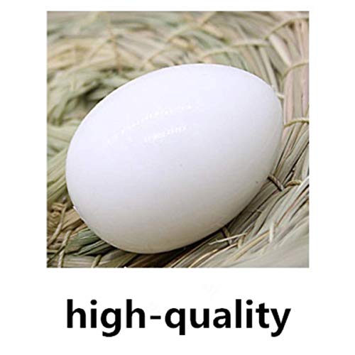 vctas Plastic Pigeon Eggs (Pack of 10) Solid Fake Pigeon Eggs Simulation Bird Eggs White Premium Dummy Eggs for Racing Pigeons & Hatching | The Storepaperoomates Retail Market - Fast Affordable Shopping