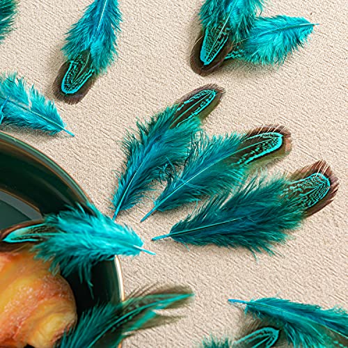 Piokio 50 pcs Lake Blue Pheasant Feathers in Bulk 2-3inch(5-7 cm) for Dream Catcher Crafts Decoration | The Storepaperoomates Retail Market - Fast Affordable Shopping