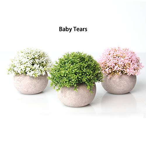 Artificial Plants，Fake Flowers Fake Plants Room Decor Artificial Green Fake Plant Artificial Plants in Pots for Home Decor Indoor ，Garden Office Wall Decoration Artificial Fake Flowers 3pcs （01） | The Storepaperoomates Retail Market - Fast Affordable Shopping