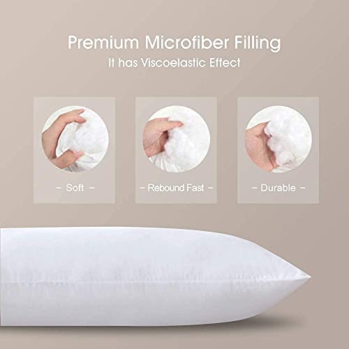 Bedbee Pregnancy Pillow, Removable Cover Premium U Shaped Maternity Pillow, Support Back, Hips, Legs, Belly for Pregnant Women Sleeping (Grey) | The Storepaperoomates Retail Market - Fast Affordable Shopping