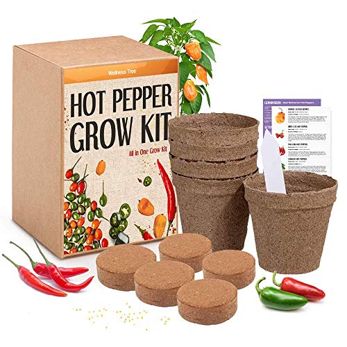 Wellness Tree Hot Pepper Grow Kit – 5 Pepper Seeds Starter Kit – Grow Jalapeno, Bird’s Eye, Scotch Bonnet, Thai Chili, & Serrano Pepper – Beginner & Expert Gardening Kit – All in One Seed Growing Kit