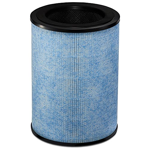 Instant HEPA Air Purifier Replacement Filter for Home Allergens & Pet Danders, Removes 99.9% of Dust, Smoke, & Pollen with Plasma Ion Technology, For AP 300