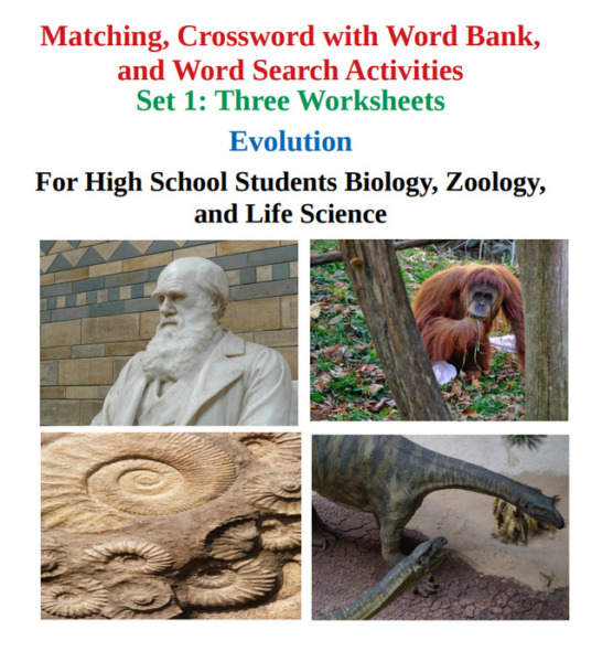 Evolution: Matching, Crossword with Word Bank, and Word Search Worksheets – Set 1