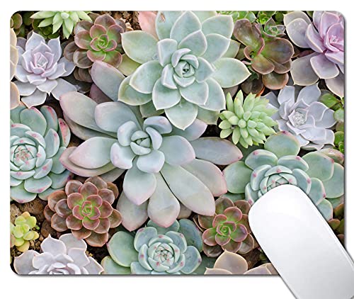 Cute Succulents Mouse Pad, Natural Plants Mousepad for Design, Anti-Slip Rubber Base Wireless Mouse Pads for Laptop