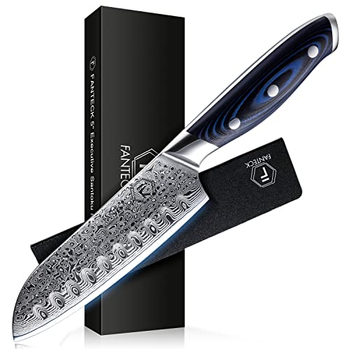 Santoku Knife 5 Inch FANTECK Damascus Kitchen Knife Ultra Sharp Blade Japanese Steel High Carbon VG10 67-Layer Full Tang Best Santoku knife for Pro Chef &Restaurant[Gift Box&Sheath]-Blue G10 Handle