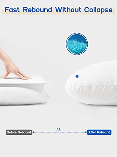 Wndy’s Dream Pregnancy Pillow J Shaped Full Body Pillow with Velvet Cover, 60 inches Maternity Pillow for Pregnant Women Back, Legs and Belly Support | The Storepaperoomates Retail Market - Fast Affordable Shopping
