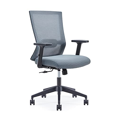Farini Mid-Back Mesh Office Desk Chair Ergonomic Swivel Executive Desk Chair with Lumbar Support Adjustable Height Arm (Grey)