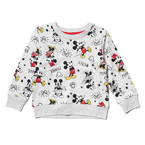 Disney Minnie Mouse Mickey Mouse Toddler Girls Sweatshirt Gray 3T