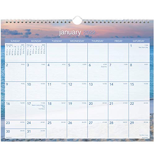 2022 Wall Calendar by AT-A-GLANCE, 15″ x 12″, Medium, Monthly, Tropical Escape (DMWTE828)