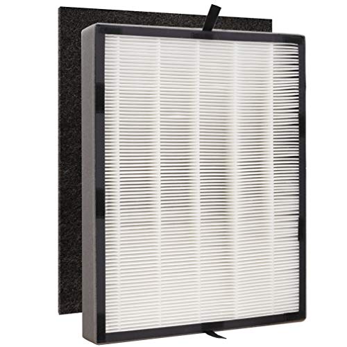 Rioche Premium H13 HEPA-Odor Replacement Air Filters, Compatible with Alen BreatheSmart 45i or Flex Air Purifier, Compare to Part NO. B4-Fresh (Old Part Number FL40), 1 HEPA&1 Carbon Pre-filter