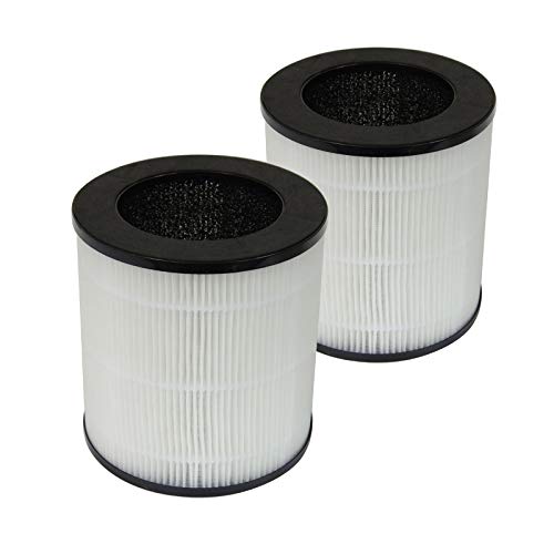 PUREBURG 2-Pack Replacement HEPA Filter Set Compatible with INTEY NY-BG60 Part Number # LW-04