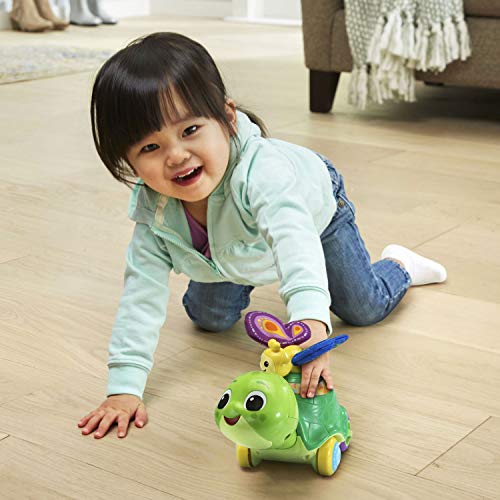 VTech 2-in-1 Toddle and Talk Turtle | The Storepaperoomates Retail Market - Fast Affordable Shopping
