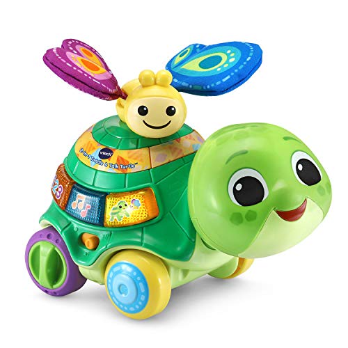 VTech 2-in-1 Toddle and Talk Turtle | The Storepaperoomates Retail Market - Fast Affordable Shopping