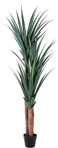 Worth Garden Artificial Yucca Tree,Faux 6ft Silk Plant,Realistic Tropical Dracaena Artificial Tree,70in Tall,Fake Potted Plant uv Rated for Indoor Outdoor Home Décor,Black Pot & 20g Dry Moss Included