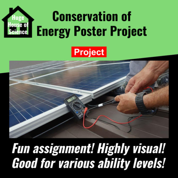 Conservation of Energy Poster Project (2-3 Day activity) MS-PS3