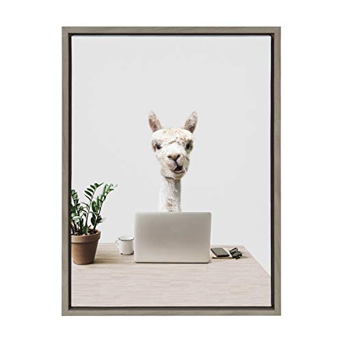 Kate and Laurel Sylvie Mr. Al Paca here, I’m in Distribution Framed Canvas Wall Art by The Creative Bunch Studio, 18×24 Gray, Alpaca Art Office Decor