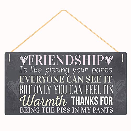 Friendship Wood Sign, Every One Can See It But Only You Can Feel Its Warmth Home Decor Plaque 12″ x 6″ Hanging Wall Art, Decorative Funny Sign,Garden Sign(XXQ102)