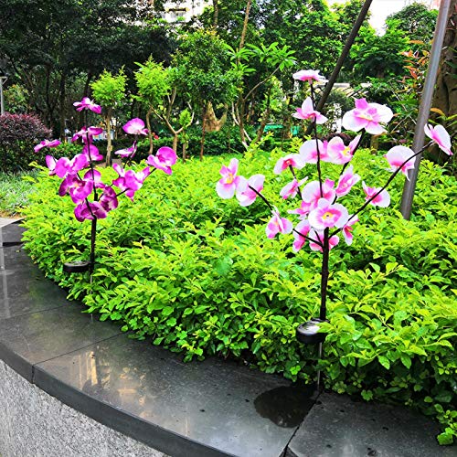 Fockety Solar Pathway Light, Artificial Orchid Tree Garden Light, Beautiful LED 2Pcs/Set for Home Outdoor | The Storepaperoomates Retail Market - Fast Affordable Shopping