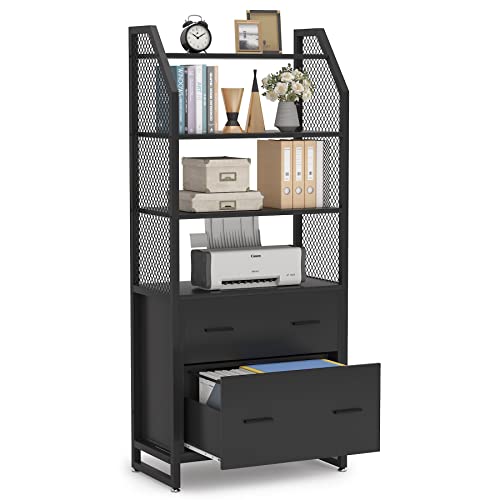 Tribesigns 2 Drawer File Cabinet with Bookshelf, Modern Vertical Filing Cabinet for Letter/Legal/A4 Size File, Large Printer Stand with Open Storage Shelves for Home Office, Black