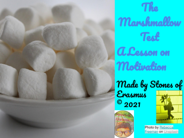 Philosophy in the Classroom: Discuss the Marshmallow Test Minilesson