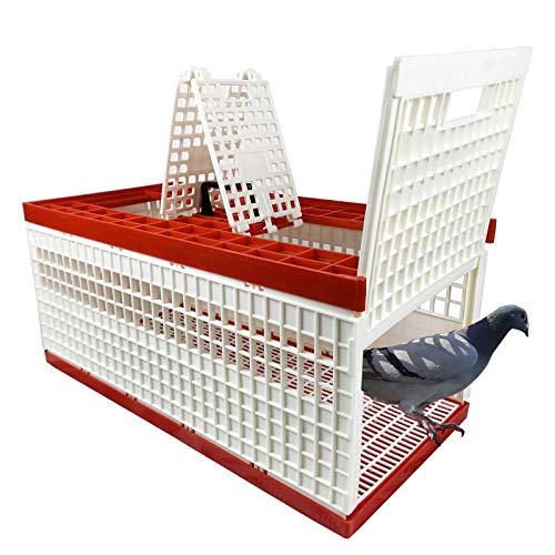 Plastic Pigeon cage Portable Foldable Plastic Transportation Poultry Transportation Bird cage Hunting cage Coop 24×12×9in Chicken cage