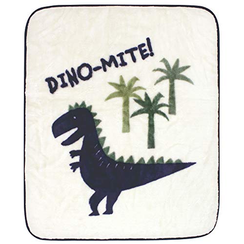 Hudson Baby Unisex Baby High Pile Plush Blanket, Dinomite Dinosaur, One Size