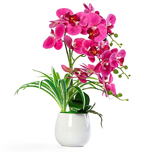 W&W Artificial Orchid Plants and Flowers with Vase, Fake Faux Orchid in Ceramic Pot,19”, Fuchsia