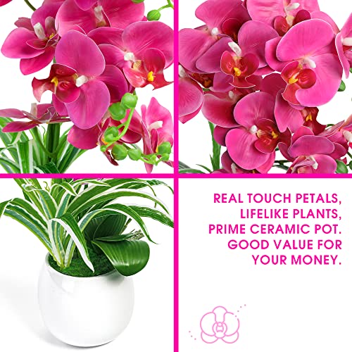 W&W Artificial Orchid Plants and Flowers with Vase, Fake Faux Orchid in Ceramic Pot,19”, Fuchsia | The Storepaperoomates Retail Market - Fast Affordable Shopping
