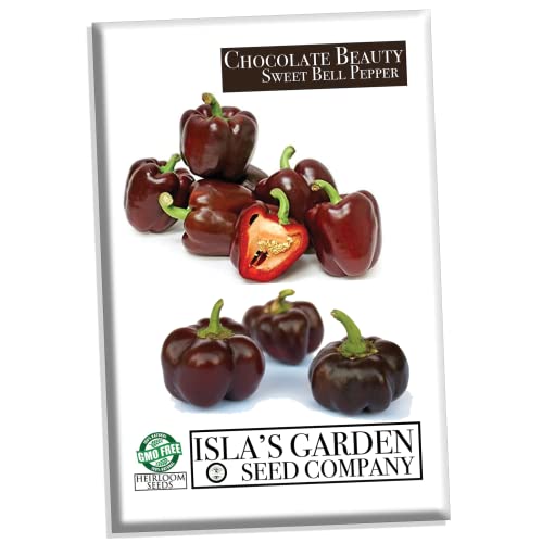 Chocolate Beauty Sweet Bell Pepper Seeds for Planting, 20+ Heirloom Seeds Per Packet, (Isla’s Garden Seeds), Non GMO Seeds, Botanical Name: Capsicum annuum, Great Home Garden Gift