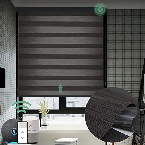 Yoolax Motorized Zebra Shades Works with Alexa, Dual Layer Automatic Window Blinds with Remote Control Customized Size, Light Filtering Electric Blinds for Home Office (Carbon Black)