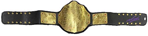 The Undertaker Signed Autographed Championship Belt JSA Authenticated WWE WWF – Autographed Wrestling Robes, Trunks and Belts