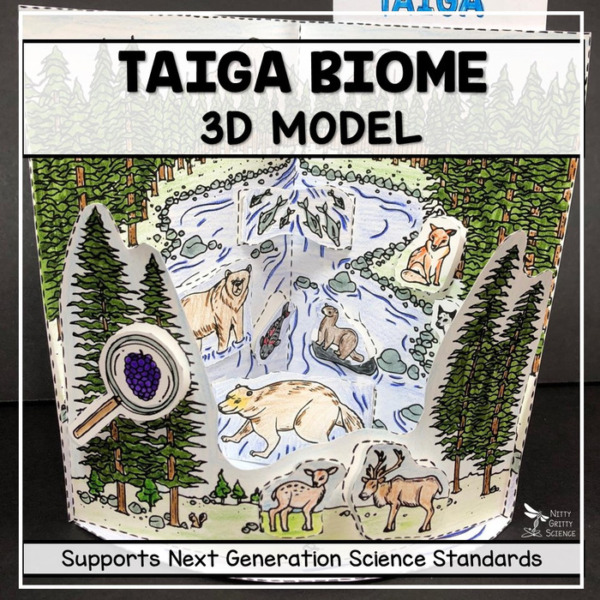 Taiga Biome Model – 3D Model – Biome Project