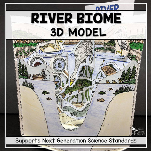 River Biome Model – 3D Model – Biome Project